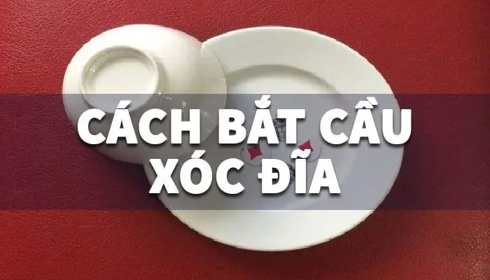 Cách bắt cầu xóc đĩa chuẩn sách giáo khoa tại MKSport