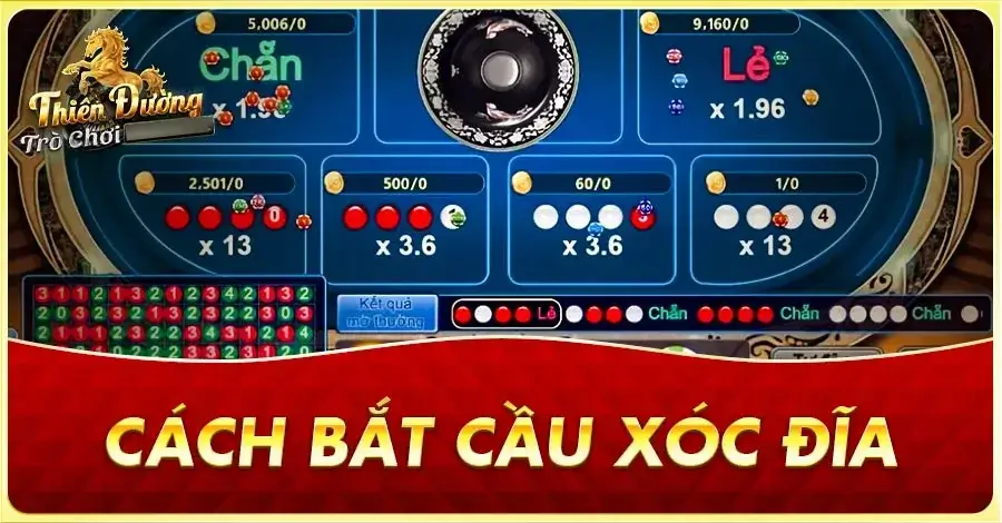 Bắt cầu xóc đĩa tại MKSport