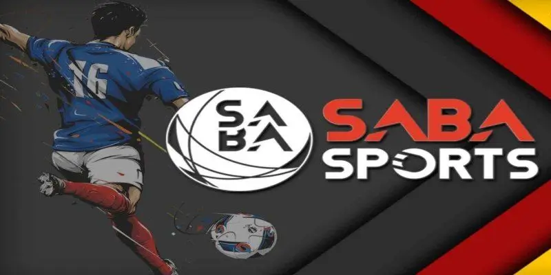 Sảnh cá cược thể thao đỉnh cao tại MKSport 